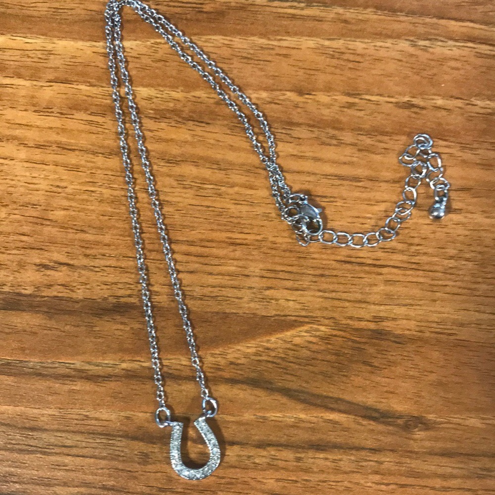 Horseshoe necklace
